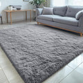 OLANLY 5x5 Area Rugs for Living Room Bedroom, Machine Washable Soft Fluffy by OLANLY