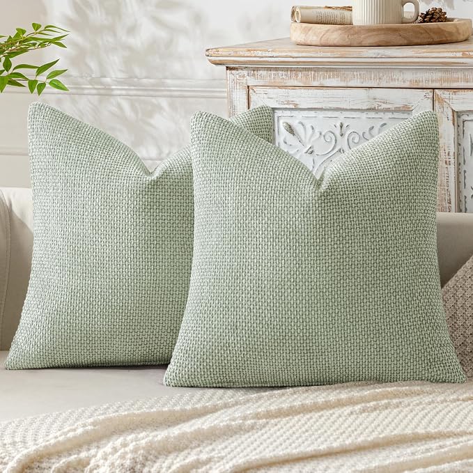 MIULEE Pack of 2 Couch Throw Pillow Covers 20x20 Inch Light Green Modern Boho by MIULEE