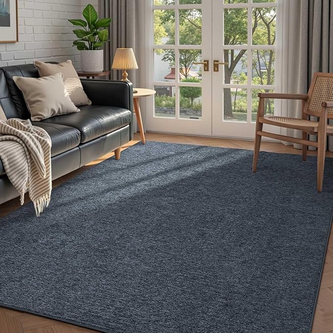 FinRèc 4x6 Washable Area Rugs for Bedroom Living Room, Low Pile Thin Rug Solid by FinRe%CC%80cHome