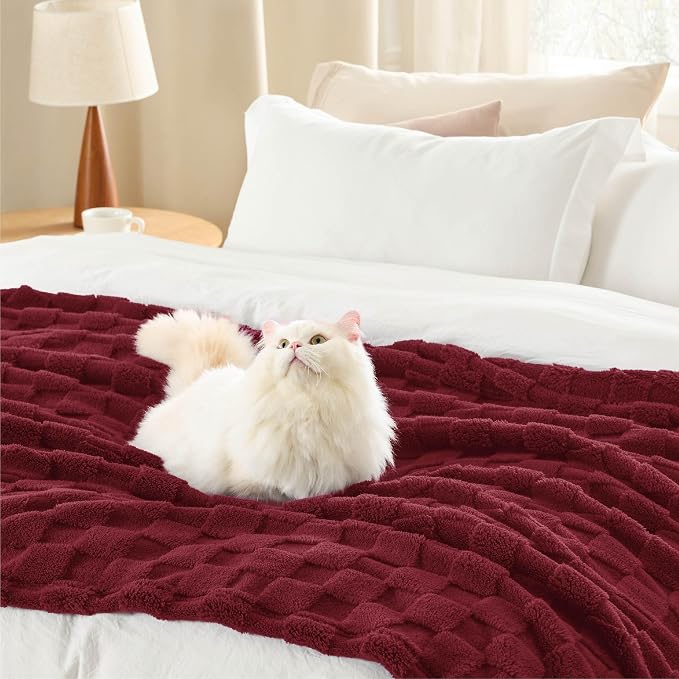 Bedsure GentleSoft Throw Blanket - Image 4