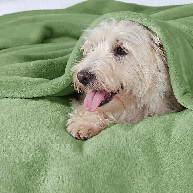 Bedsure GentleSoft Green Fleece Blankets King Size - Image 3
