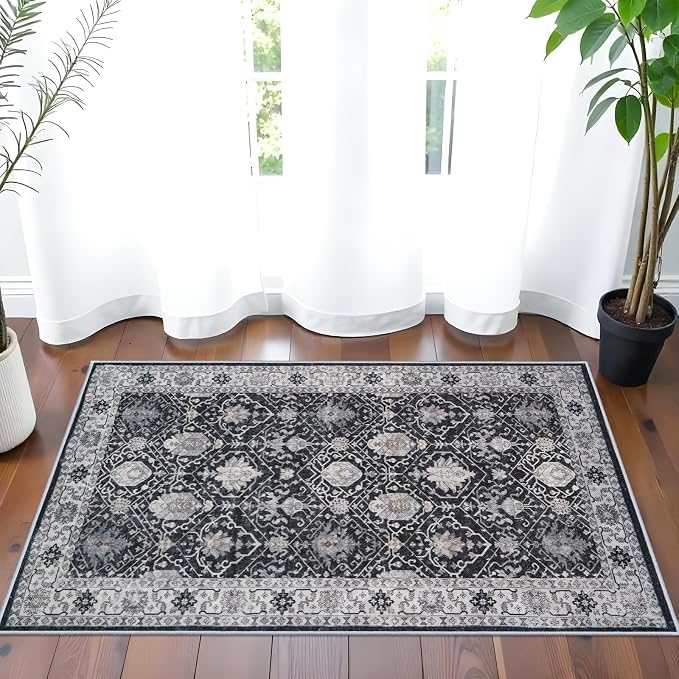 Washable 2x3 Entryway Area Rug: Vintage Soft Thin Door Mat - Image 7