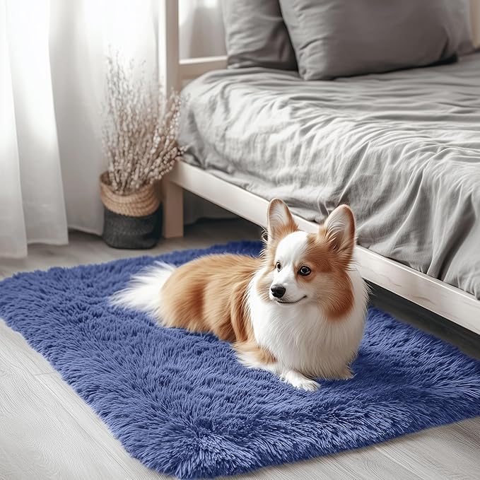 OLANLY 2x3 Machine Washable Small Bedside Rug, Soft Fluffy Shaggy Entryway by OLANLY