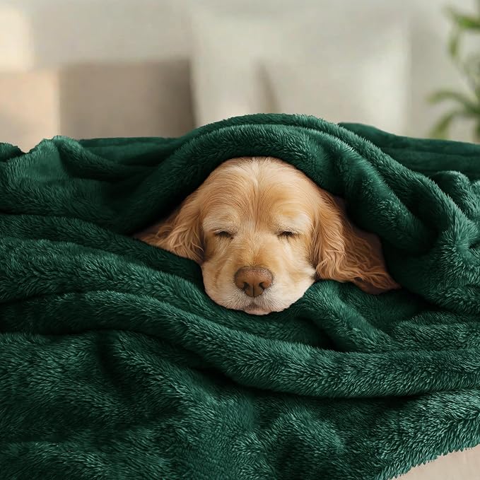 Exclusivo Mezcla Plush Fuzzy Fleece Bed Blanket Queen Size, Super Soft - Image 3