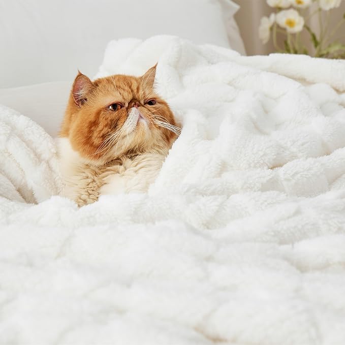 Bedsure GentleSoft Blankets Queen Size - Image 6