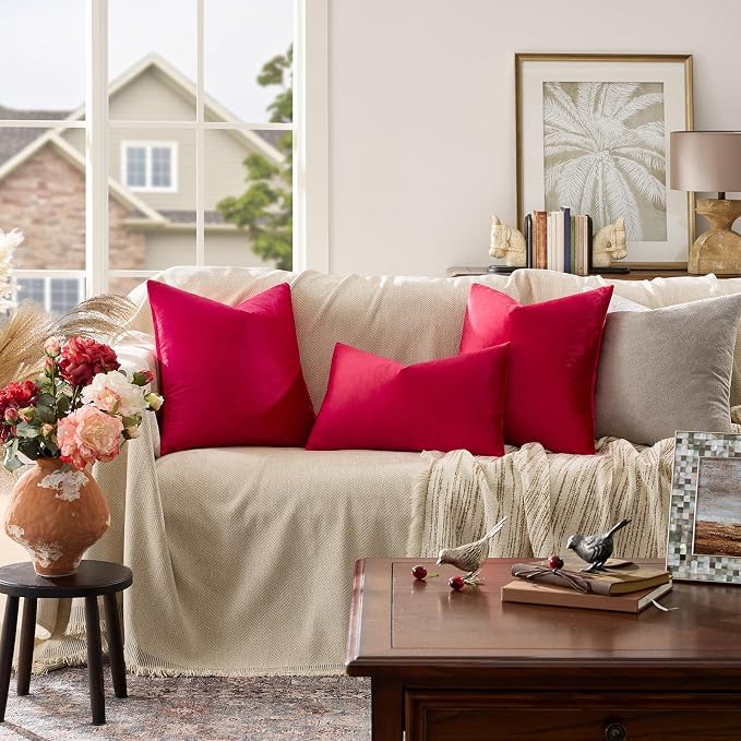GIGIZAZA Decorative Couch Throw Pillow Covers, Pillow Cases Velvet Pillow Covers - Image 2