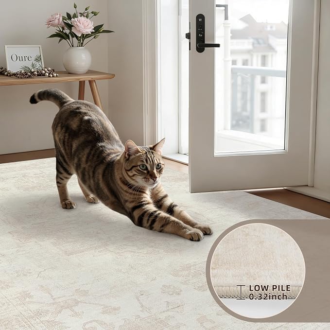5x7 Area Rugs for Living Room: Vintage Boho Neutral Washable Rug Indoor Soft - Image 7