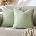 GIGIZAZA Sage Green Pillow Covers 16x16 Throw Pillows Velvet Decorative Sofa by GIGIZAZAFocusingonhomedecoration