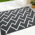 OLANLY Front Door Mat, Non-Slip Rubber Backing, Dirt Resistant and Absorbent by OLANLY