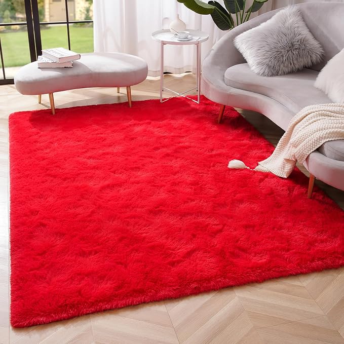 Amearea Premium Soft Fluffy Area Rug Modern Shag Carpet, 3x5 Feet, Fuzzy Shaggy by AmeareaDirect