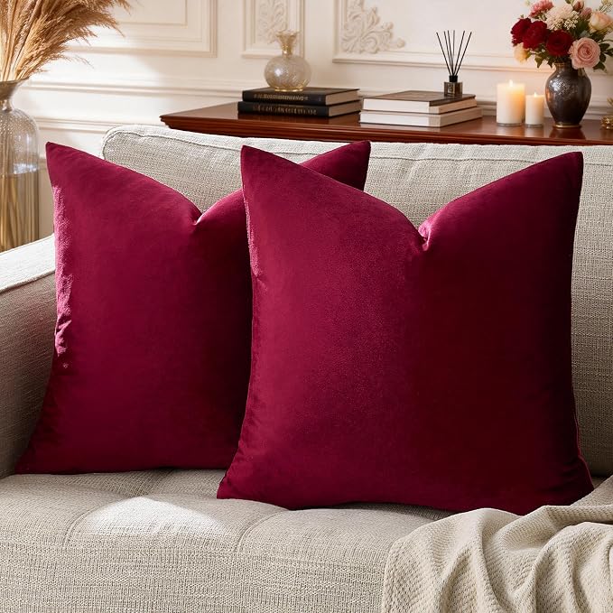 GIGIZAZA Velvet Pillow Covers 20x20: Pack of 2 Throw Pillows Soft Solid Covers by GIGIZAZAFocusingonhomedecoration