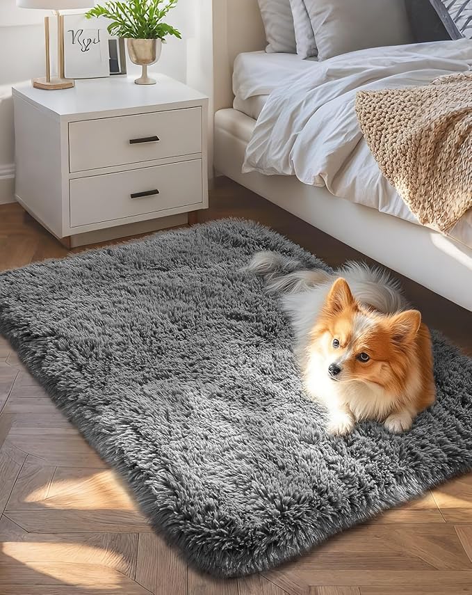 Ophanie 2x4 Small Rug Upgrade Non Slip Throw Bedside Area Rugs, Fluffy Soft by Ophanie