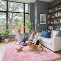 Super Soft Shaggy Area Rugs for Bedroom 4x6 Feet, Shaggy Plush Living Room Shag by Junhejiamei