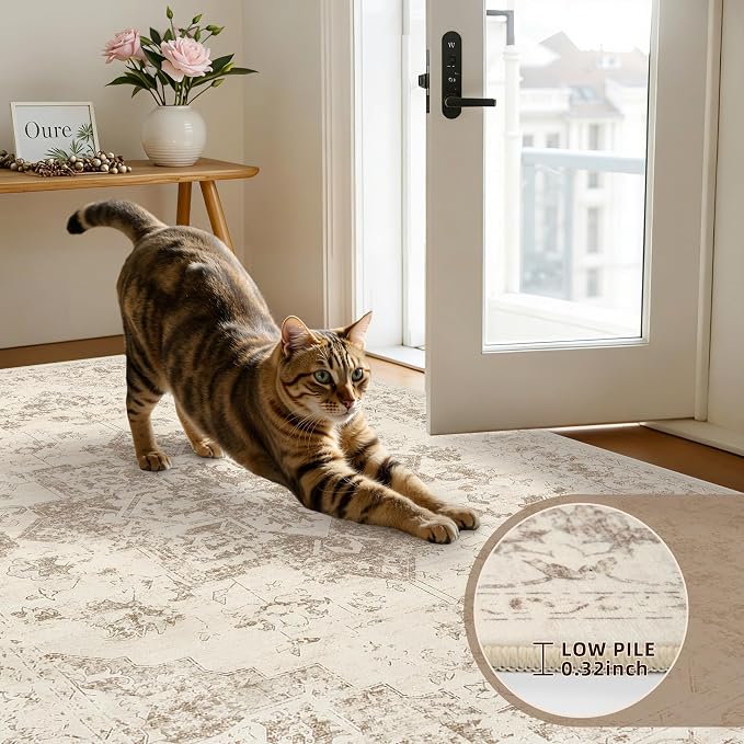 5x7 Area Rugs for Living Room: Vintage Boho Neutral Washable Rug Indoor Soft - Image 7
