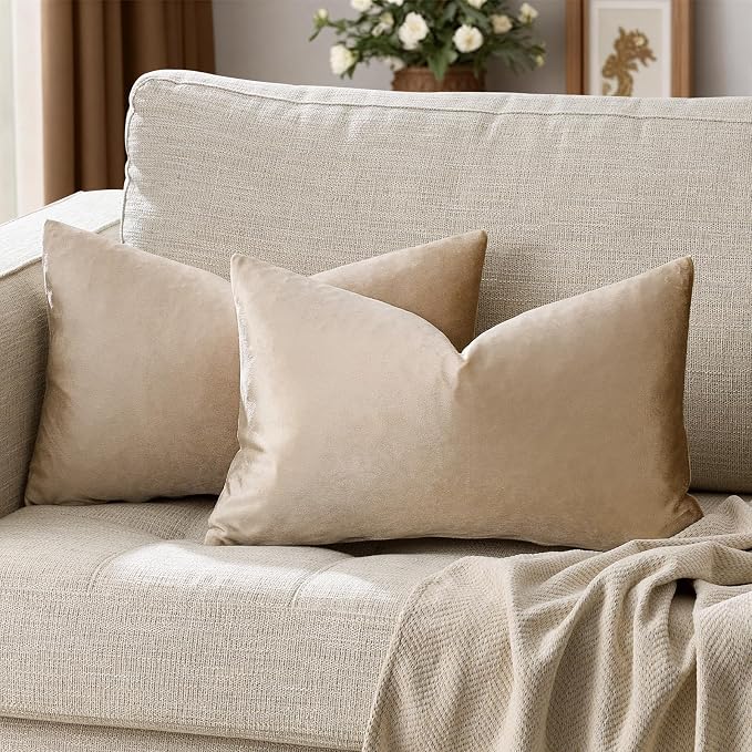 GIGIZAZA Velvet Taupe Decorative Throw Pillow Covers Couch Pillow Lumbar by GIGIZAZAFocusingonhomedecoration