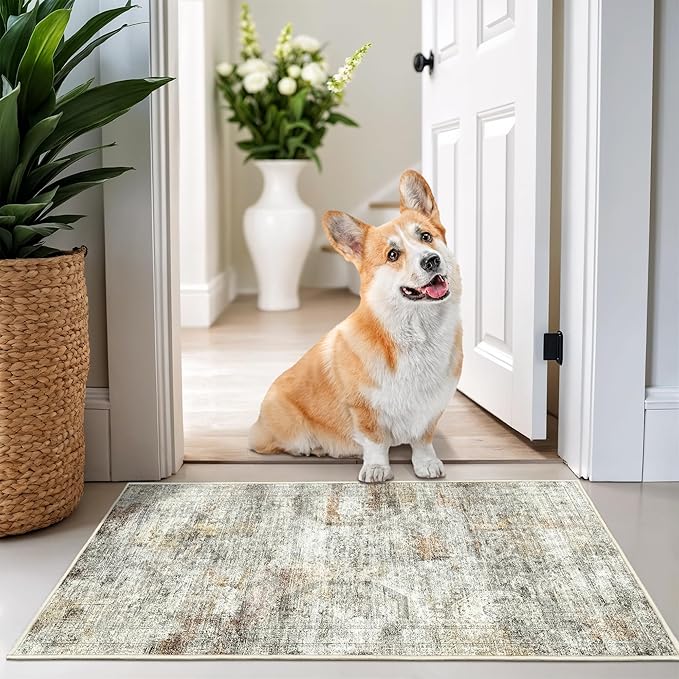 2x3 Washable Rug Runner for Bathroom, Soft Entryway Rug for Laundry Room by Restydon