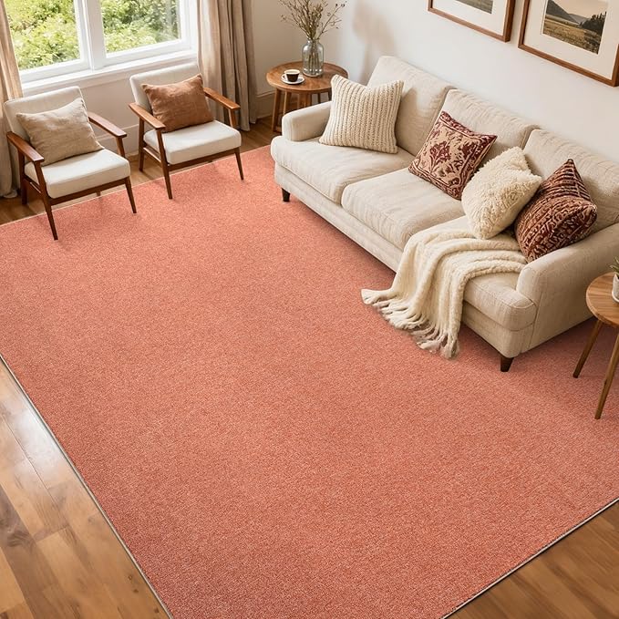 FinRèc 5x7 Washable Area Rugs for Bedroom Living Room, Low Pile Thin Rug Solid by FinRe%CC%80cHome