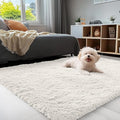 OLANLY 4x5 Machine Washable Accent Rug, Soft Fluffy Shaggy Area Rug by OLANLY