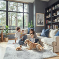 Super Soft Shaggy Area Rugs for Bedroom 4x6 Feet, Shaggy Plush Living Room Shag by Junhejiamei