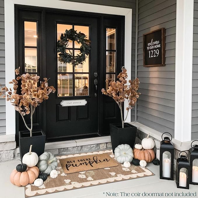 Front Door Mat Indoor Entrance - Image 4