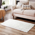 Ciicool White Fur Fluffy Rug, 2x4 ft Small Faux Fur Rug by CIICOOLHomeDeco