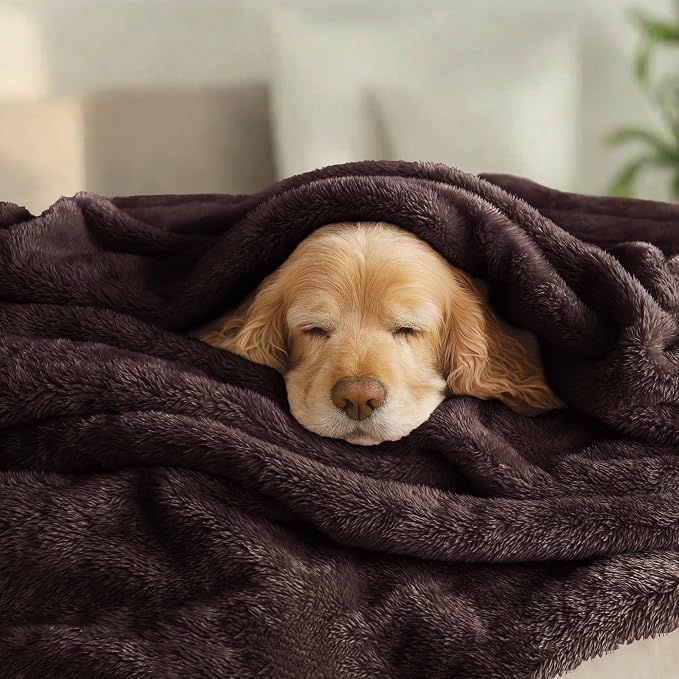 Exclusivo Mezcla Plush Fuzzy Fleece Bed Blanket King Size, Super Soft, Fluffy - Image 3