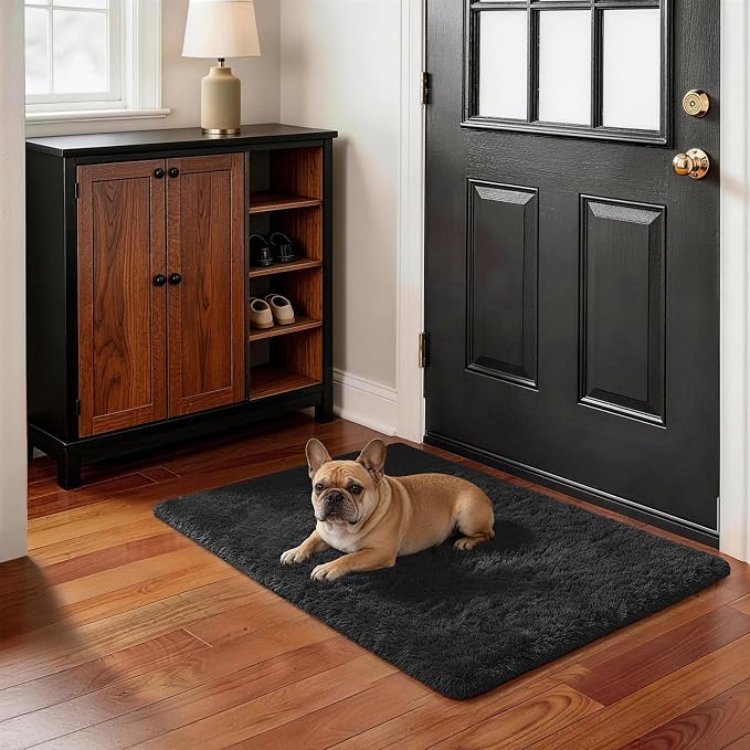 Ophanie Small Black Entryway Throw Rugs - Image 5