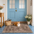 Boho Taupe Brown 3x5 Large Entryway Rug by HazoHaus
