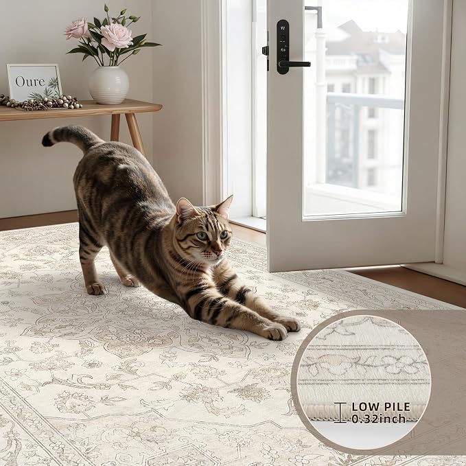 6x9 Area Rugs for Living Room: Vintage Boho Neutral Washable Rug Indoor Soft - Image 7