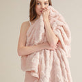 Bedsure GentleSoft Blankets Queen Size by BEDSURE