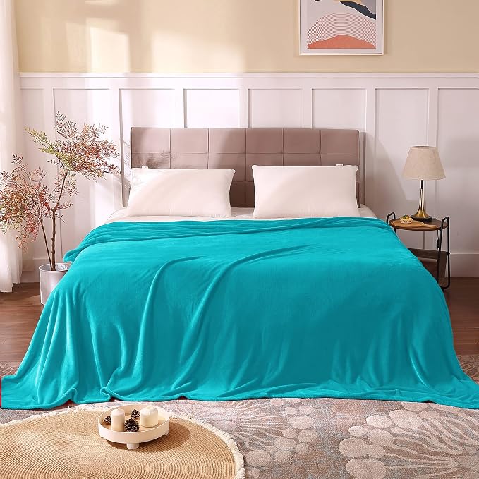 BEDELITE Fleece Blankets Queen Size Teal Throw Blankets - Image 2