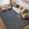FinRèc 5x7 Washable Area Rugs for Bedroom Living Room, Low Pile Thin Rug Solid by FinRe%CC%80cHome
