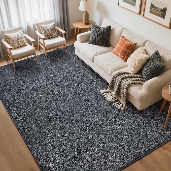 FinRèc 5x7 Washable Area Rugs for Bedroom Living Room, Low Pile Thin Rug Solid by FinRe%CC%80cHome