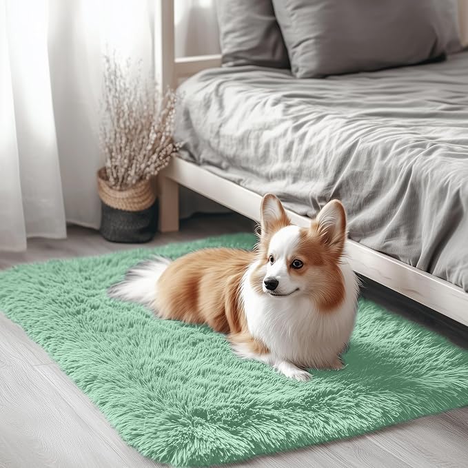 OLANLY 2x3 Machine Washable Small Bedside Rug, Soft Fluffy Shaggy Entryway by OLANLY