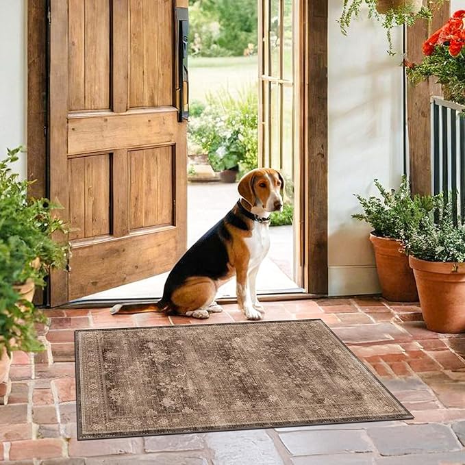 Boho Taupe Brown 2x3 Entryway Rug by HazoHaus