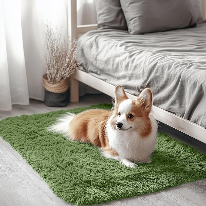 OLANLY 2x3 Machine Washable Small Bedside Rug, Soft Fluffy Shaggy Entryway by OLANLY