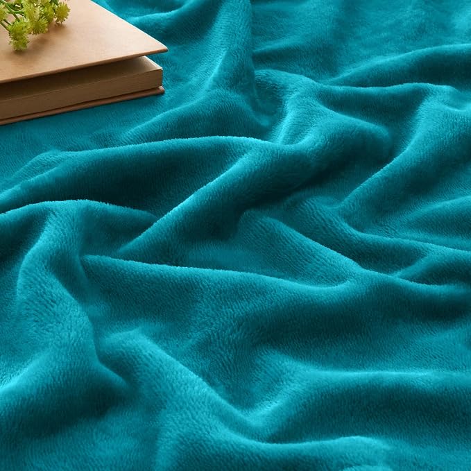 BEDELITE Fleece Blankets Queen Size Bluebird Throw Blankets - Image 4