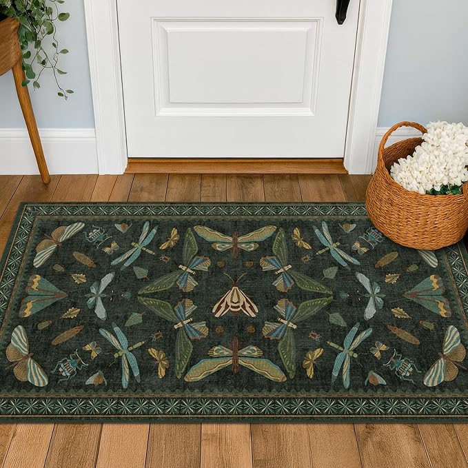 Hazo Haus 2x4 Entry Way Rugs Indoor by HazoHaus