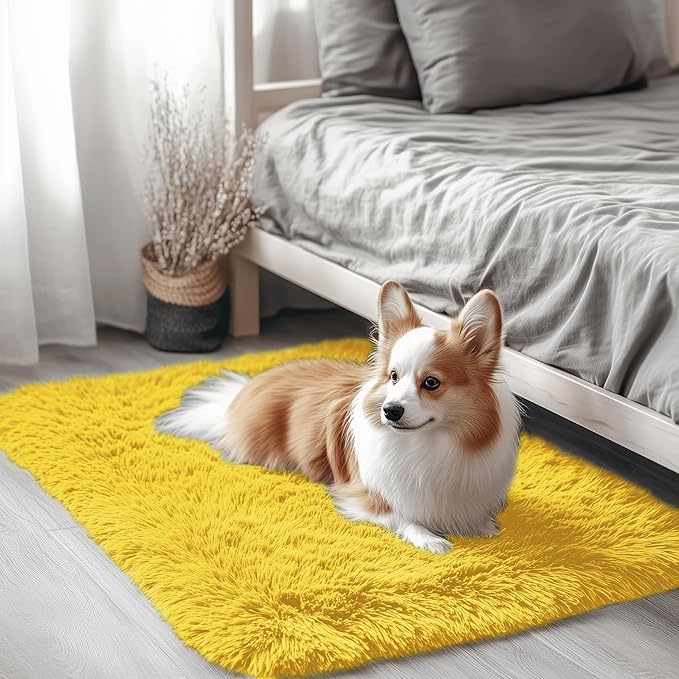 OLANLY 2x3 Machine Washable Small Bedside Rug, Soft Fluffy Shaggy Entryway by OLANLY
