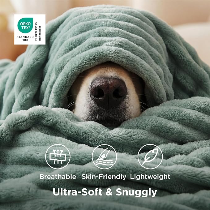 Bedsure GentleSoft Sage Green Throw Blanket - Image 3