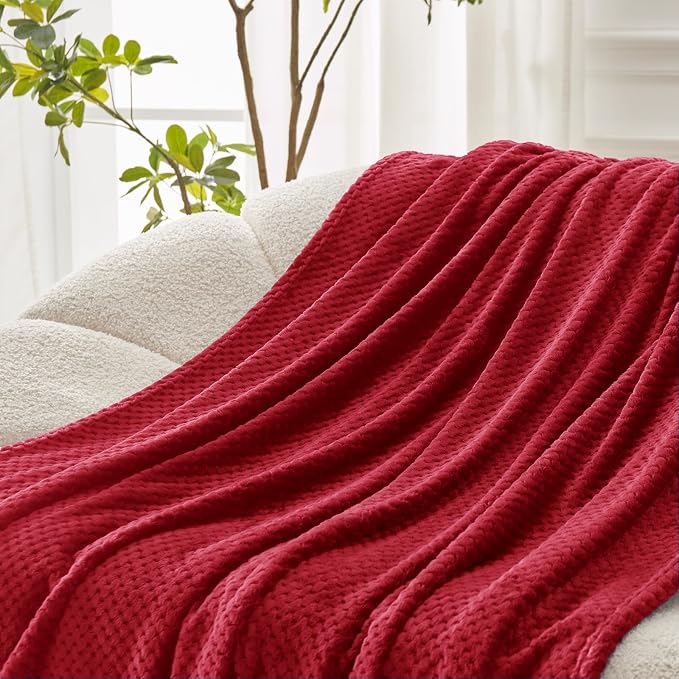 Exclusivo Mezcla Fleece Bed Blanket Queen Size, Super Soft and Warm Blankets - Image 5