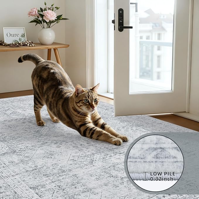 4x6 Area Rugs Living Room: Bedroom Neutral Washable Carpet Gray | Vintage Boho - Image 7