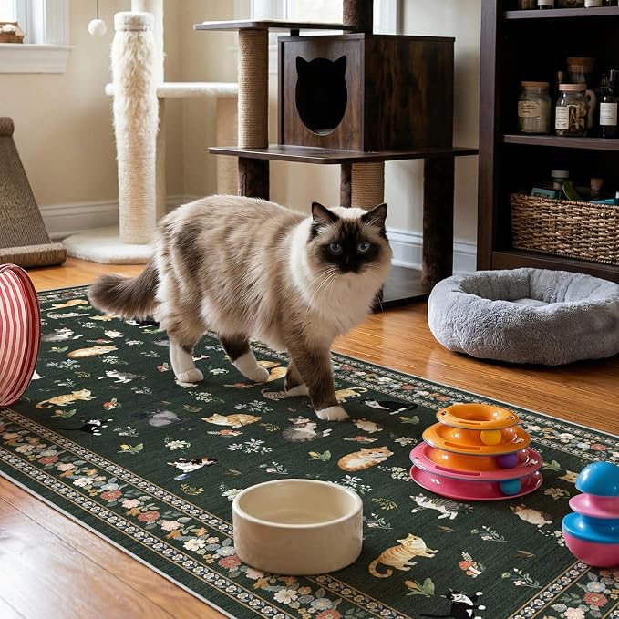 3x7 Washable Kitchen Runner Rug by EISUROM