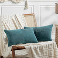 Fancy Homi 2 Packs Teal Lumbar Decorative Throw Pillow Covers 12x20 Inch by Fancy+Homi