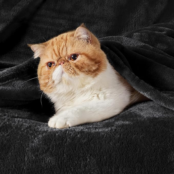 Bedsure GentleSoft Fleece Bed Blankets Large Size Black - Image 3