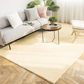 Ashler Faux Fur Rug, Ultra Soft Faux Rabbit Fur, 6 x 9 Feet Rectangle, Machine by AshlerHomeDeco