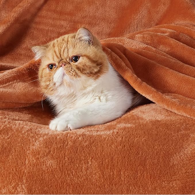 Bedsure GentleSoft Fleece Blankets Queen Size - Image 2