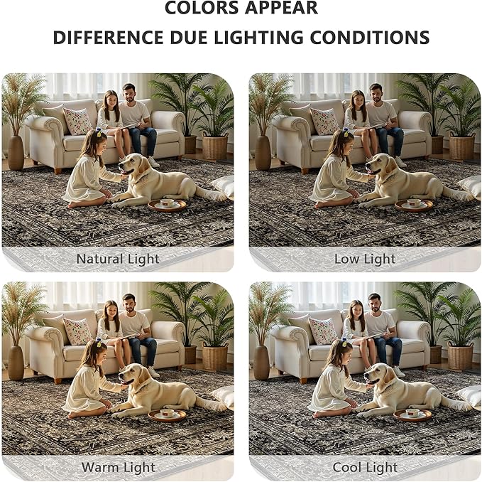 8x10 Area Rugs for Living Room - Image 7