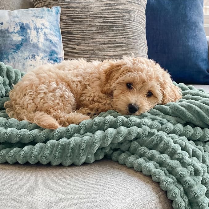 Bedsure GentleSoft Sage Green Throw Blanket - Image 9