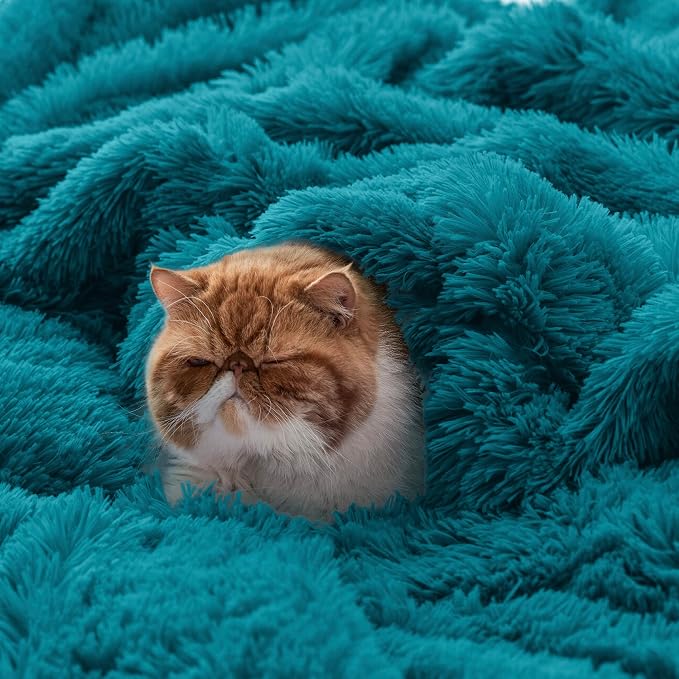 Bedsure GentleSoft Fluffy Turquoise Teal King Size Blanket - Image 5